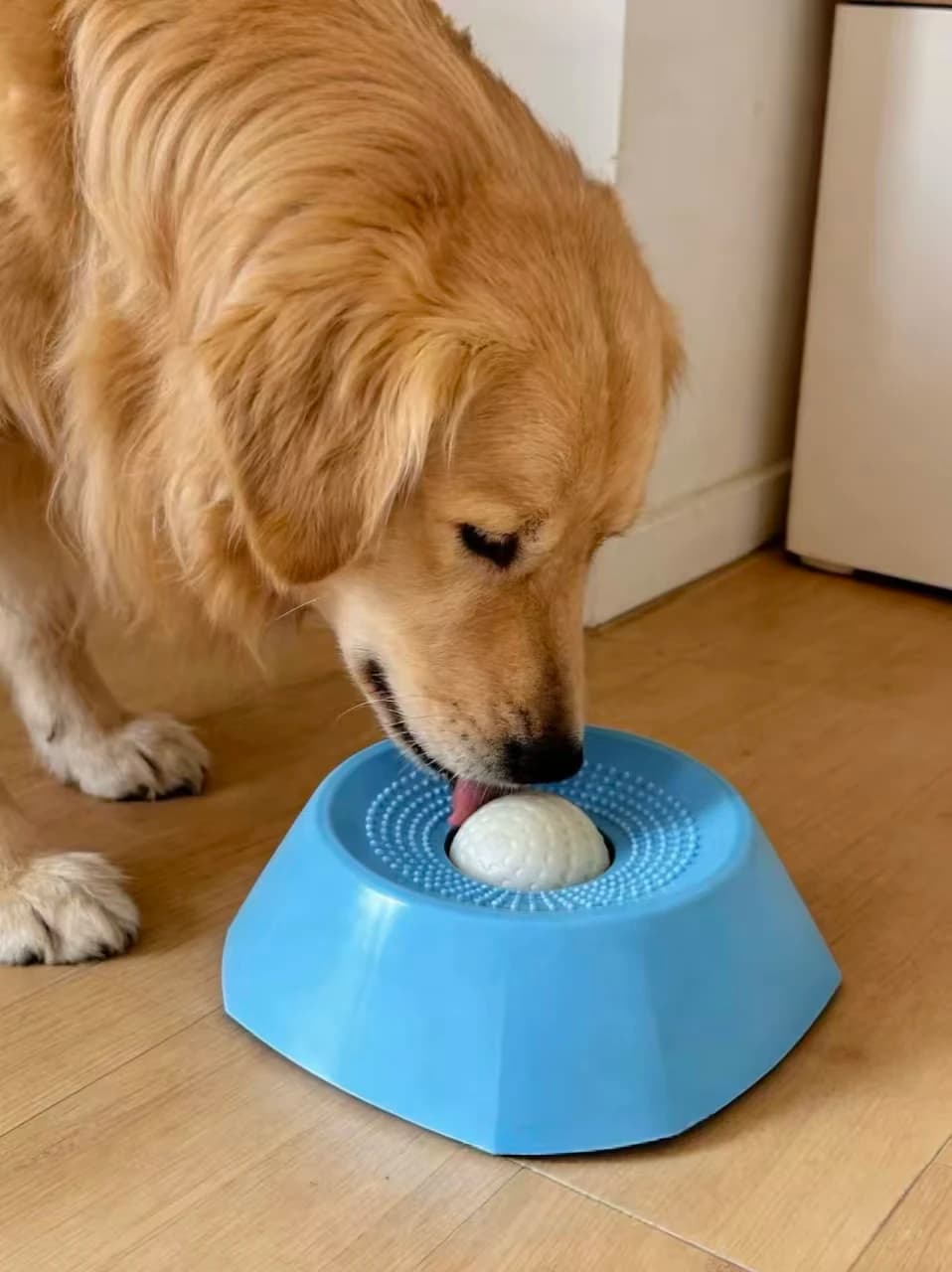 Nuova ciotola anti-soffocamento per cani, design sferico, interattiva, puzzle, per un'alimentazione sana.