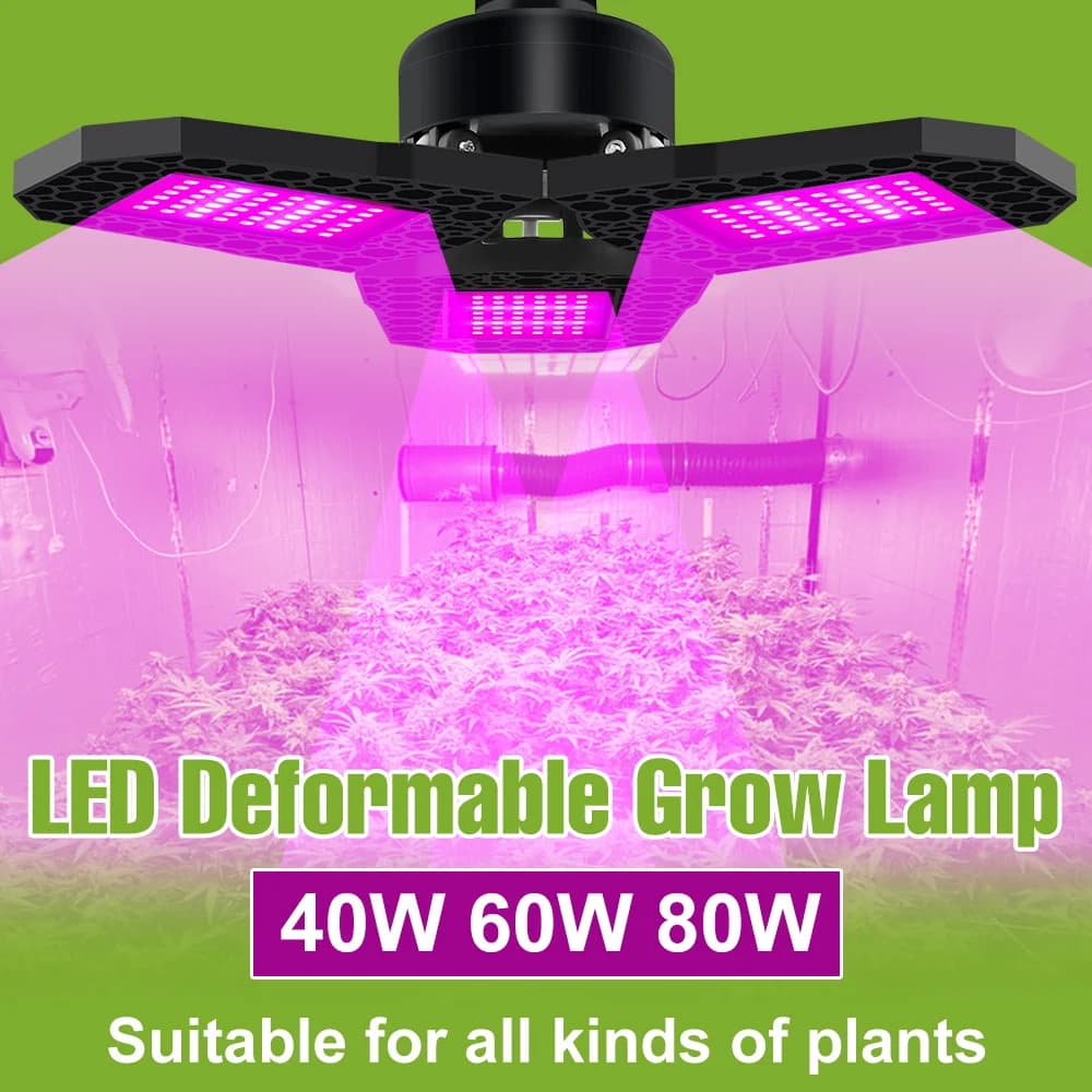 Lampada LED per Coltivazione 80W, Spettro Completo E27, per Piante da Interno, Semi di Fiori, Serra, Tenda, Frutta e Verdura