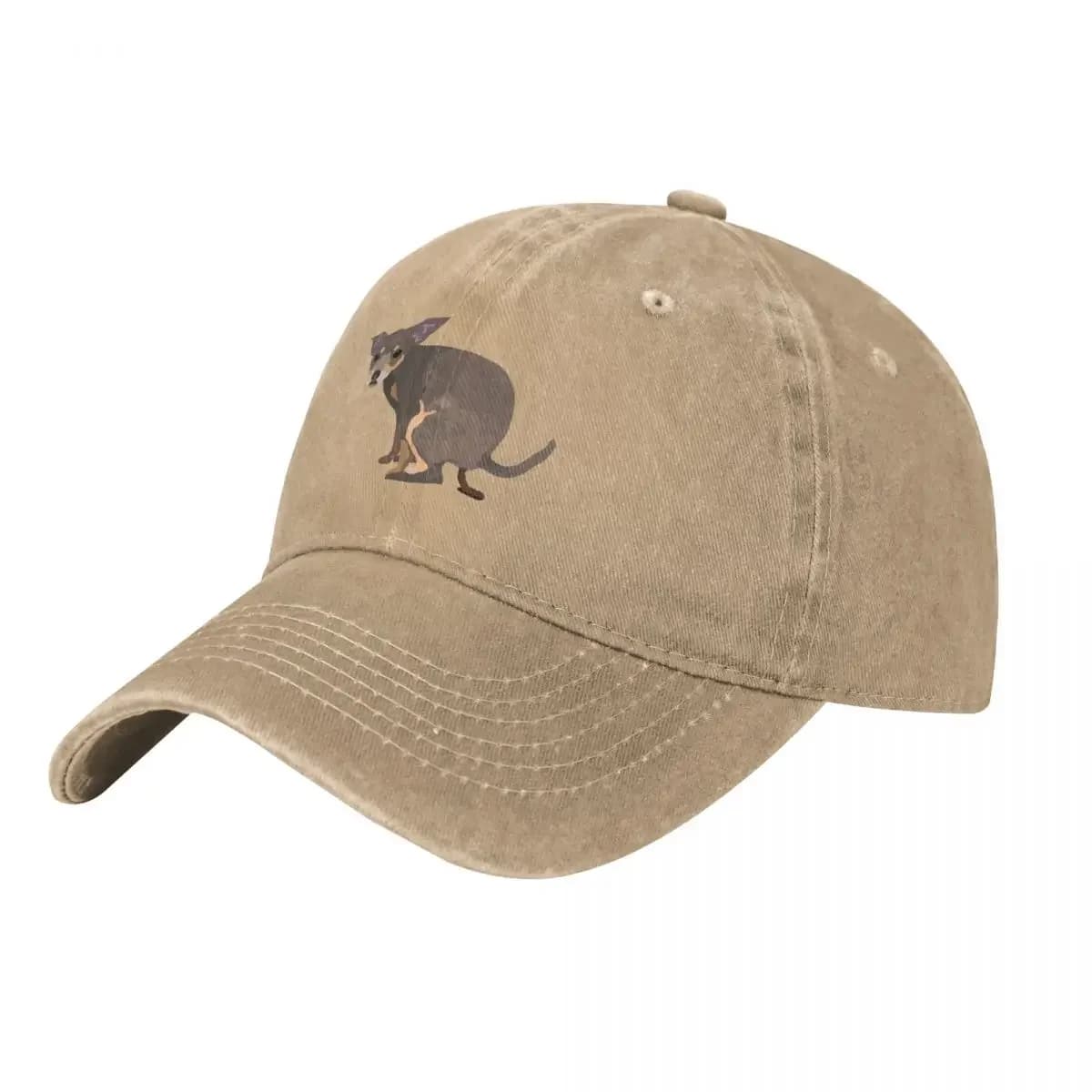 Poopy Daph Baseball Cap Streetwear New In Hat Winter hat golf hat genuine Men Women's
