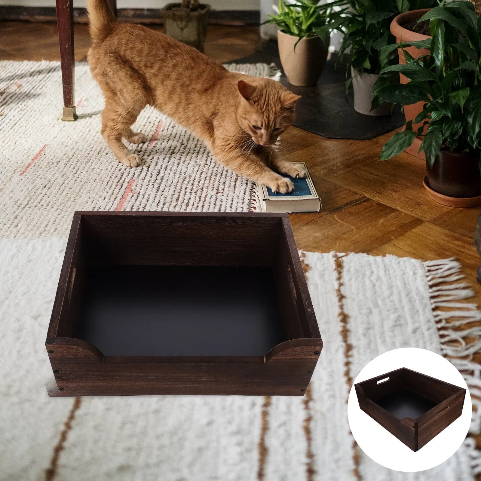 Lettiera per Gatti Grande in Legno Massello, Design Aperto con Bordi Alti, Vassoio Angolare per Interni, per Gattini e Gatti Anziani, Toilette per Gatti in Legno