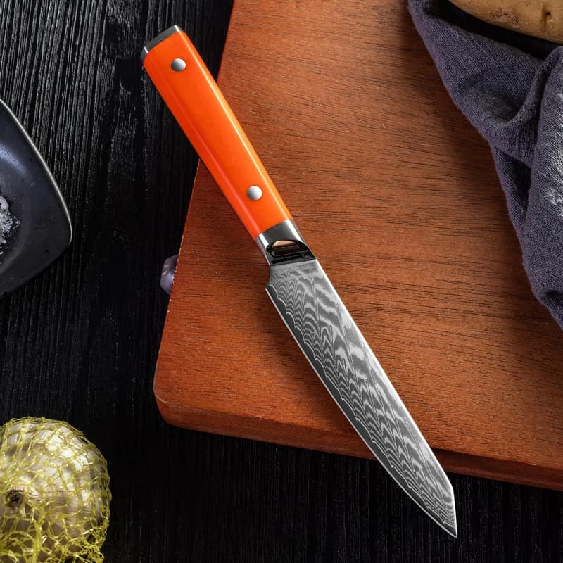 Coltello multiuso da 4,5 pollici 67 strati Damasco AUS10 Lama in acciaio Manico esagonale G10 Affilato Peeling Pelatura Chef Mannaia Coltello da cucina