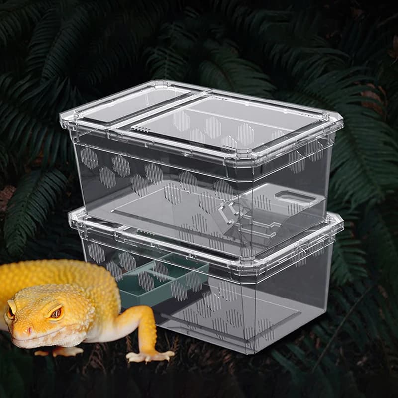 Serbatoio per rettili Insetti Ragni Tartaruga Lucertola Scatola per allevamento di rettili in plastica trasparente Vivarium con forniture per l'alimentazione del balcone