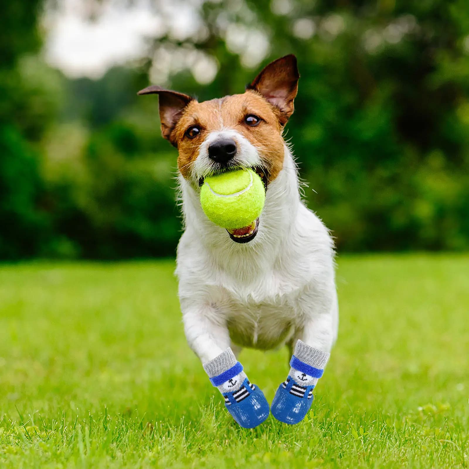 4Pcs Sky-Blue Pet Shoes Waterproof Non-Slip Dog Socks Cat Booties Cartoon Paw Covers for Walking Running Hiking Senior Dogs