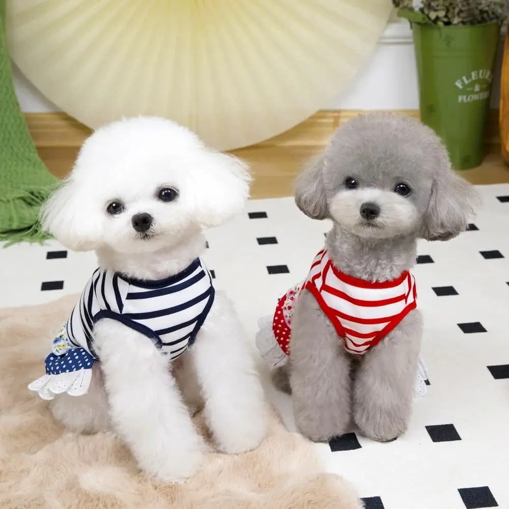 Vestito per Cani a Righe alla Moda, Morbido e Traspirante, Abbigliamento Estivo per Animali Domestici, Gilet Sottile per Gatti, Pettorina Primaverile