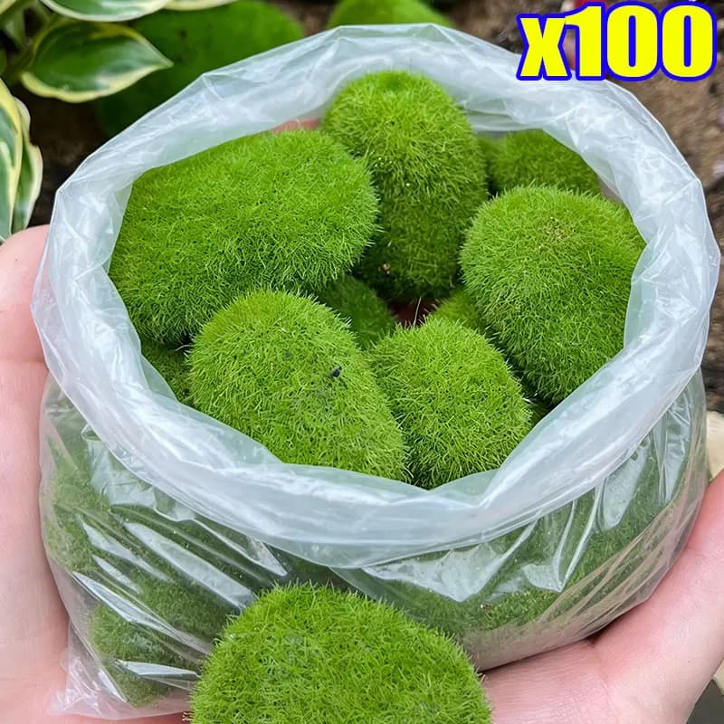 200/5 Pezzi Rocce di Muschio Artificiale in Schiuma, Pietre Finte di Muschio Verde per Micro Paesaggi, Decorazioni per Vasi di Fiori, Giardino e Casa