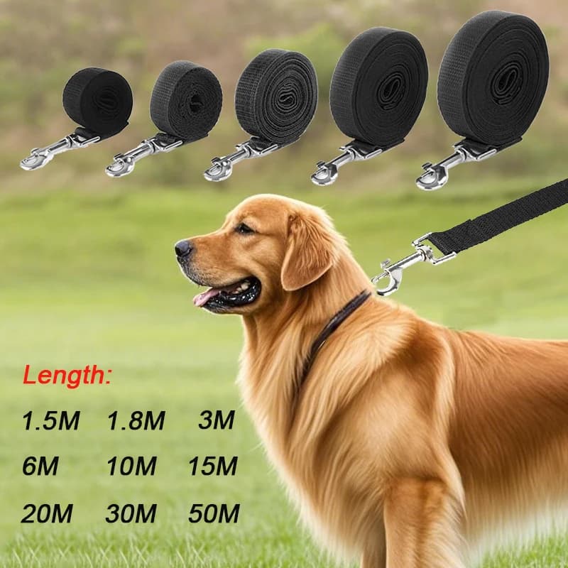 Guinzaglio per cani in nylon lungo e resistente 10m 15m 20m Guinzaglio per addestramento per animali domestici per cani di piccola taglia Cucciolo da passeggio all'aperto Corda di piombo Labrodor Forniture