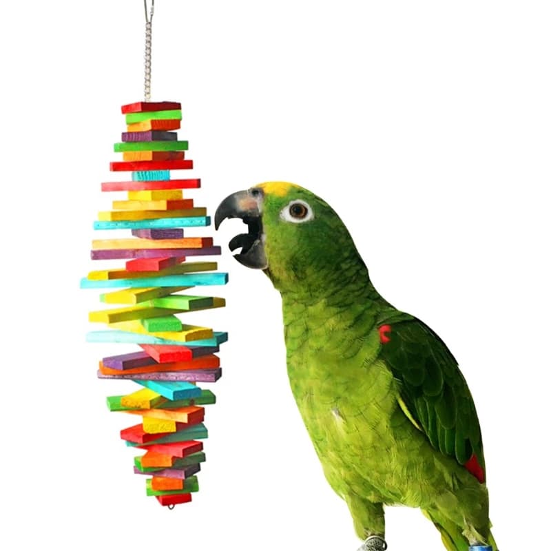 Giocattolo da masticare per uccelli in legno color arcobaleno con catena per appendere, giocattolo per pappagalli da gabbia, giocattolo per uccelli da compagnia per sbocchettare, per parrocchetti, calatari, agaporni