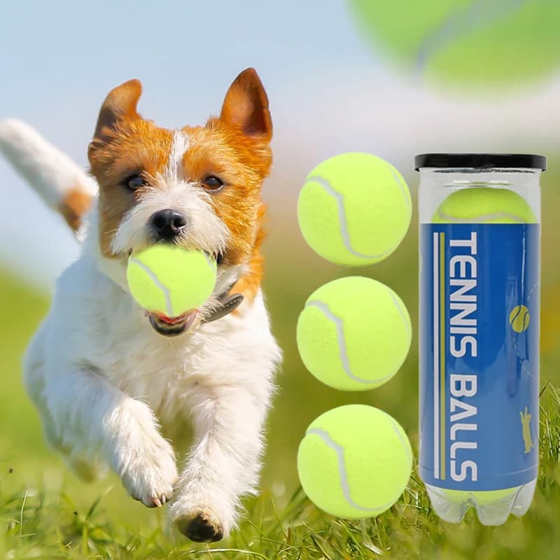 3 pezzi palla da tennis giocattolo da masticare per cani resistente ai morsi giocattolo di addestramento interattivo in gomma di sicurezza ad alto rimbalzo per cani accessori per chihuahua