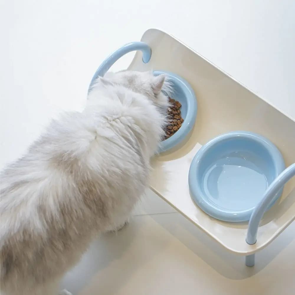 Ceramic Pet High Footed Bowl Non-Slip Anti-flip Elevated Pet Feeder Bowl Neck Protection Double Bowls Cat Food Water Bowl