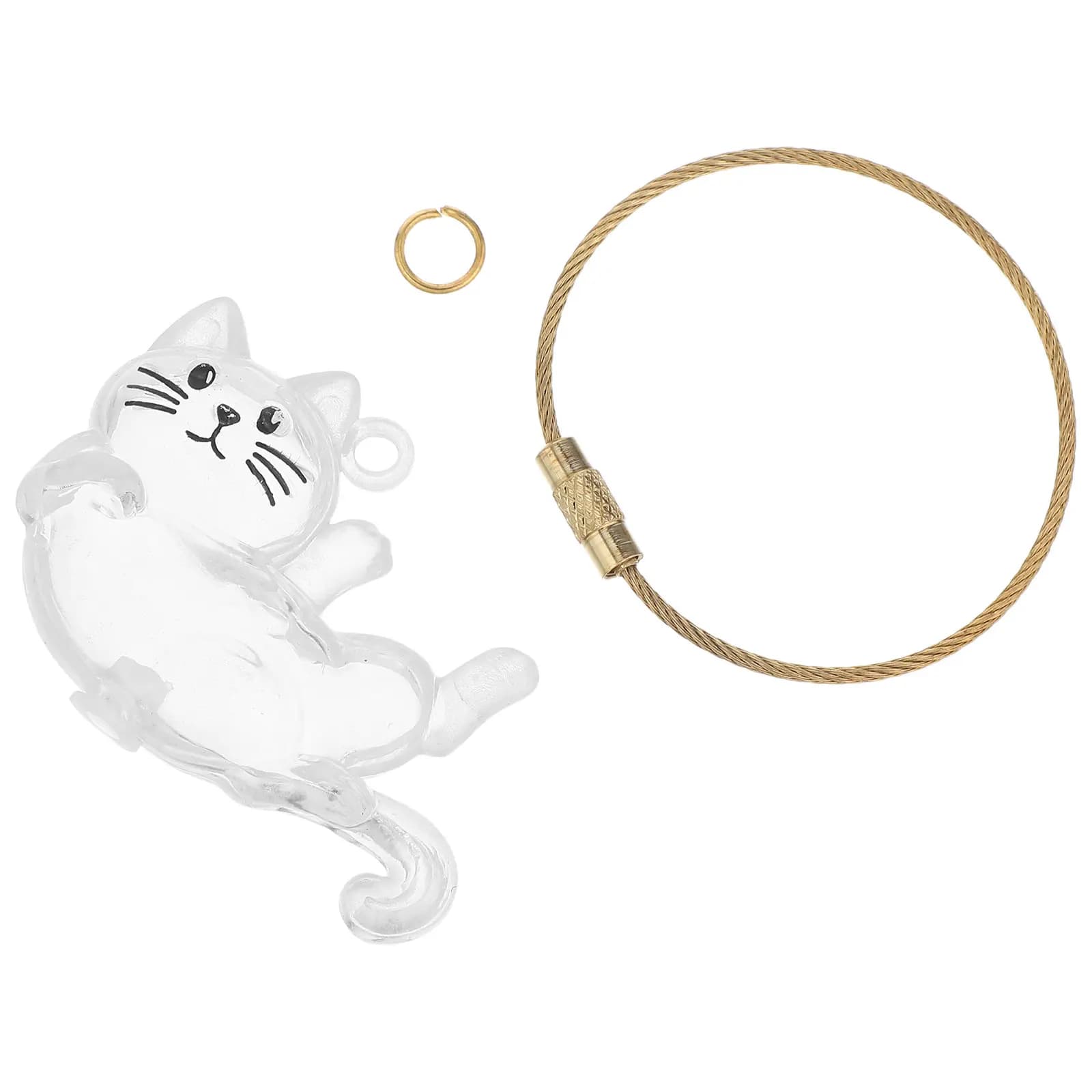 Portachiavi Ricaricabile per Conservare Peli di Animali Domestici, Mini Scatola Trasparente, Ciondolo Commemorativo per Peli di Cane e Gatto, Organizer, Grazioso Charm per Borsa