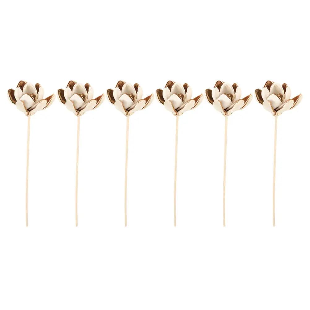 6 Pezzi Bastoncini Decorativi per Diffusore, Fiori in Legno Naturale di Rattan per Oli Essenziali, Ricariche per Diffusori di Aromi e Profumi per Ambienti