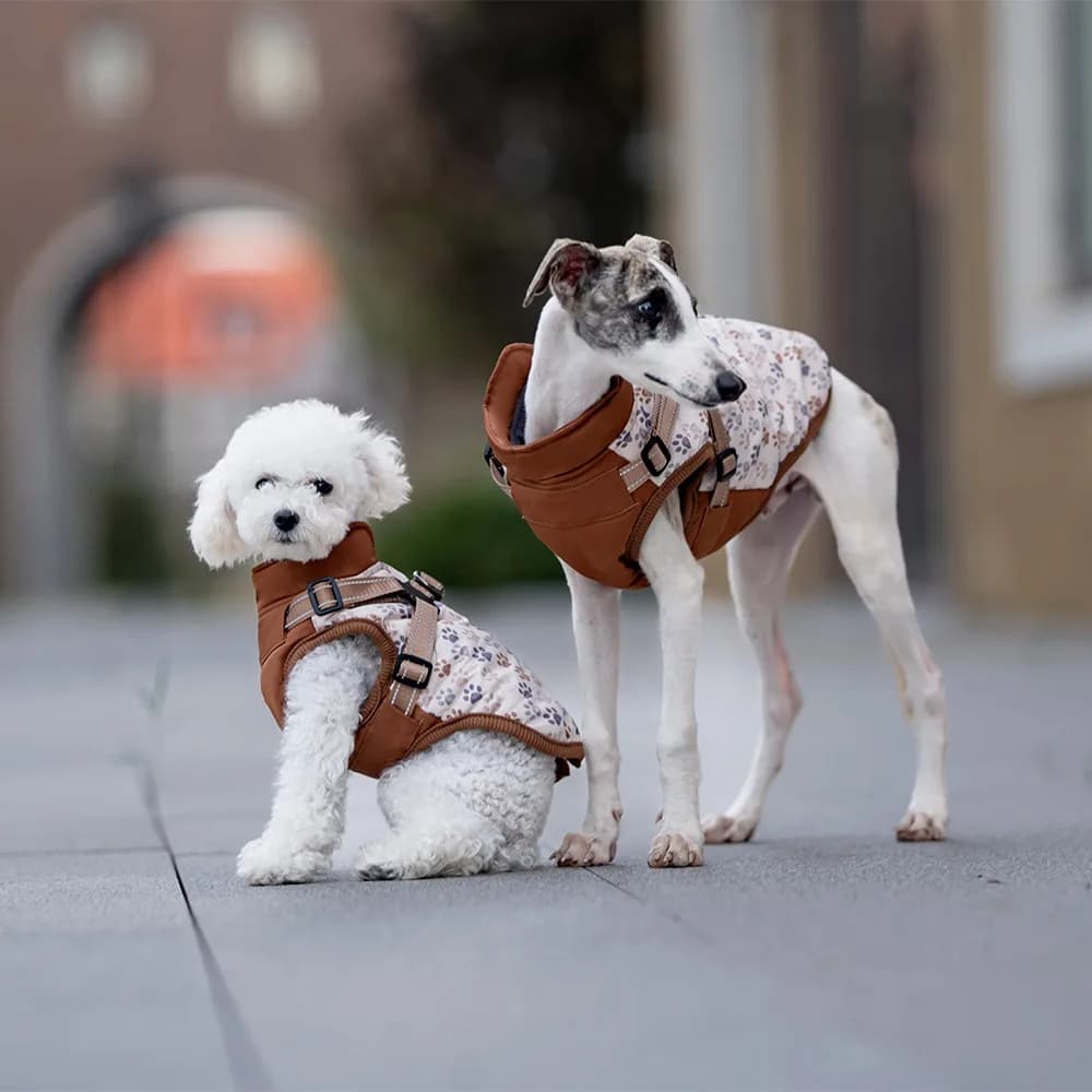 Pet Dog Winter Polyester Padded Harness British Style for Small/Medium Dogs Cute Bichon Frise