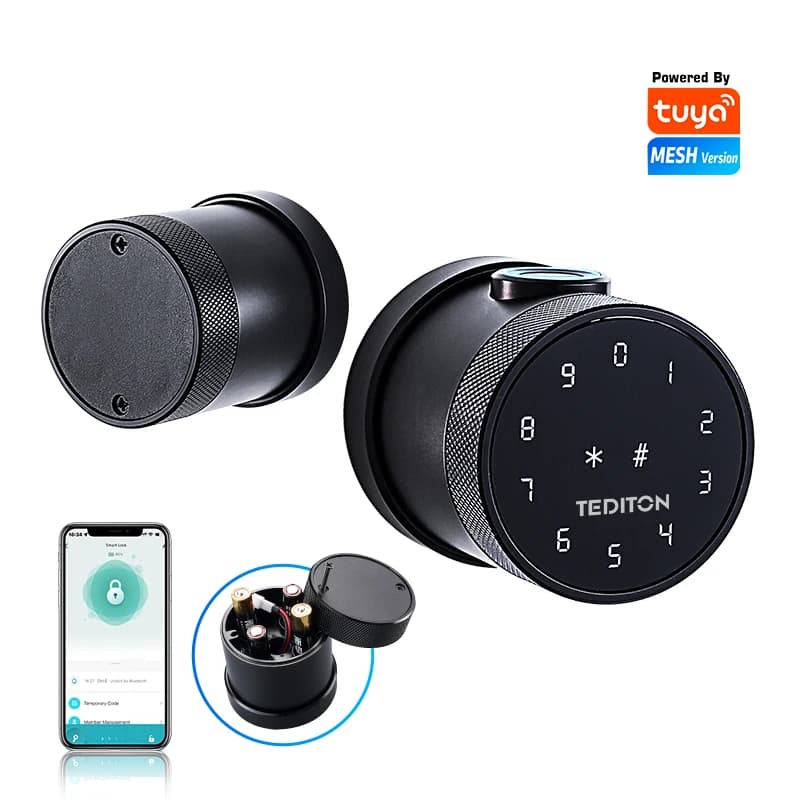 Serratura per porta Wi-Fi elettronica digitale wireless personalizzata con impronta digitale con APP Tuya Smart Life
