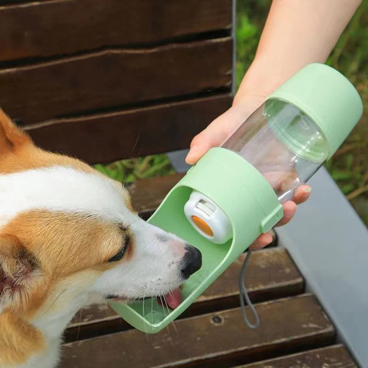 Borraccia portatile per cani e gatti con contenitore per cibo e acqua, ciotola per cuccioli, accessori per animali domestici da viaggio.