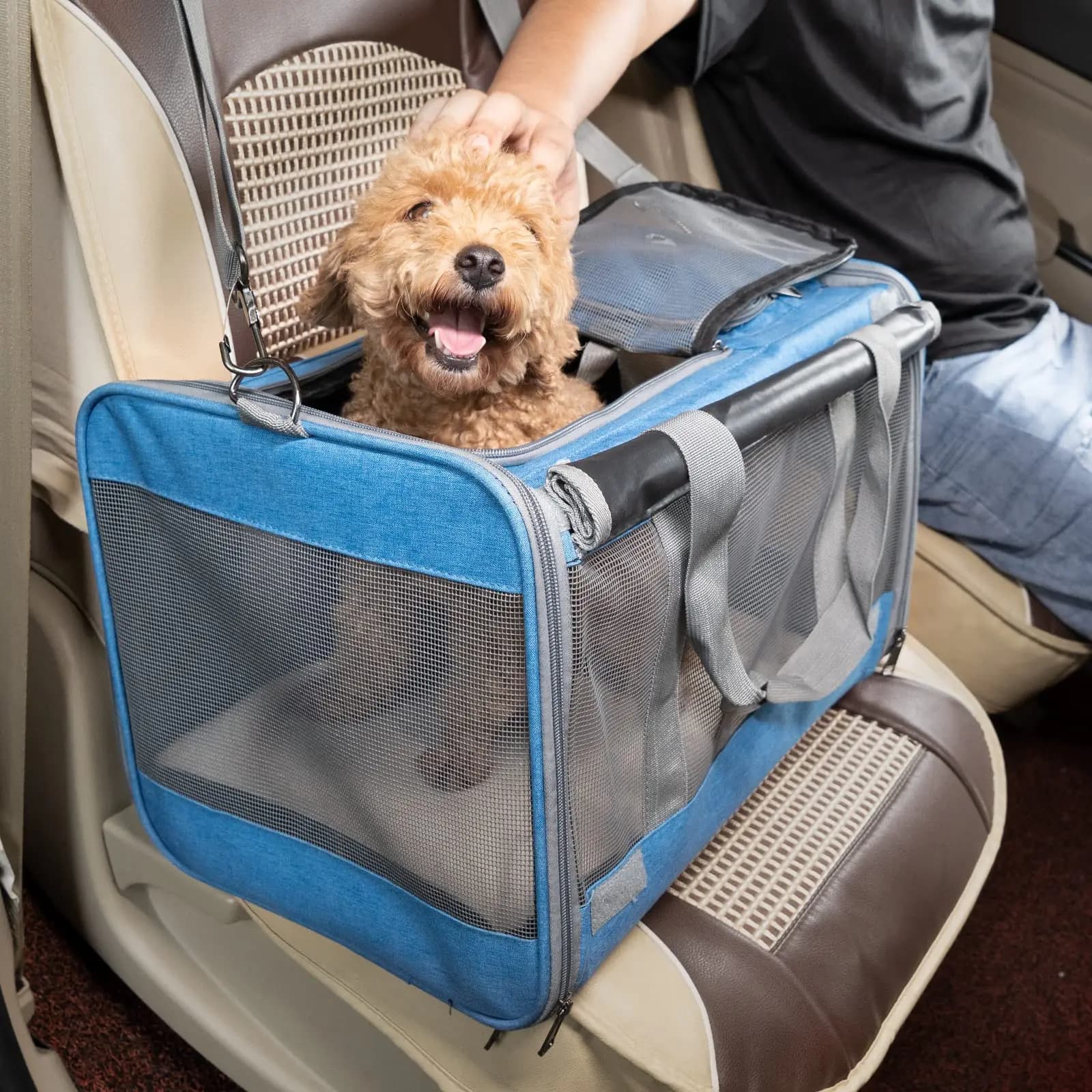 Universal Soft-Sided Pet Carrier, Suitable for Large Medium Cats and Puppy Dogs Outdoor Travel