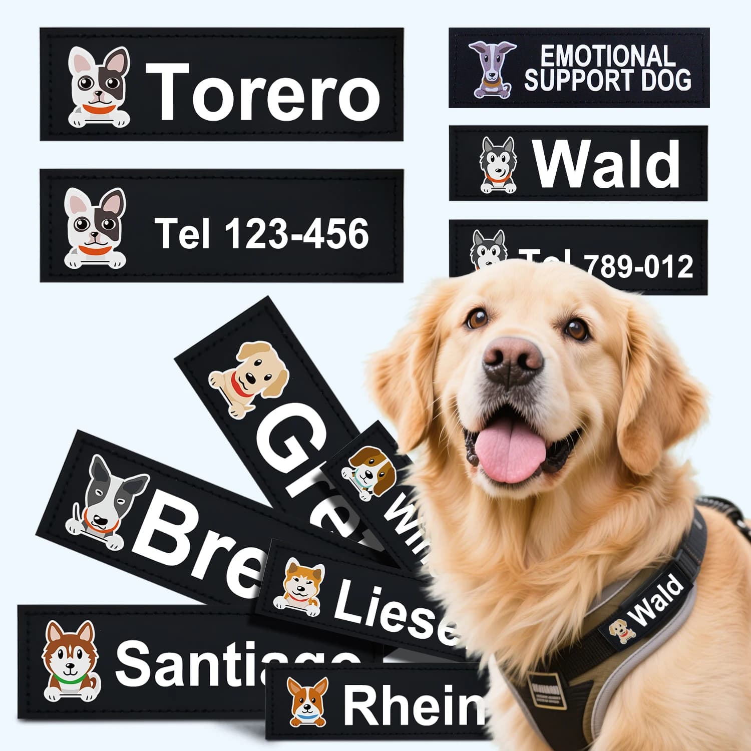 2 pz/lotto Pettorina per Cani Etichette ID Modelli di Animali Domestici Accessori Serie Forniture per Esterni Personalizzazione Personalizzazione Nome e Oth