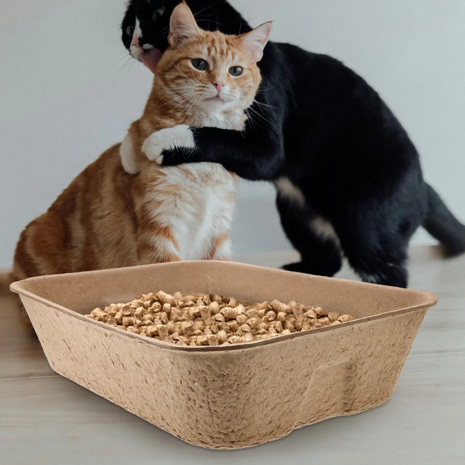 High Sided Super Open Disposable Cat Litter Box Pan Large Capacity for Cats Kittens Rats Small Pets Anti Splash