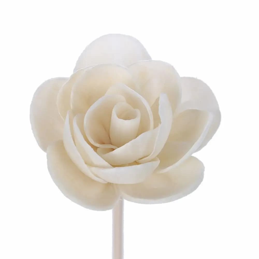 Bastoncini Diffusori di Aromi Naturali Creativi da 5 cm per Casa, con Fiori Secchi Tongcao per Aromaterapia