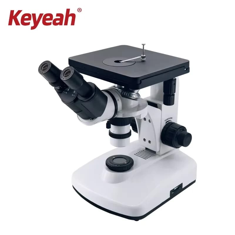 Microscopio metallurgico invertito HD Prezzo Zoom 1000X Metallo Minerale Chip LCD Luce Riflettata Stereo Industria Biologica utilizza