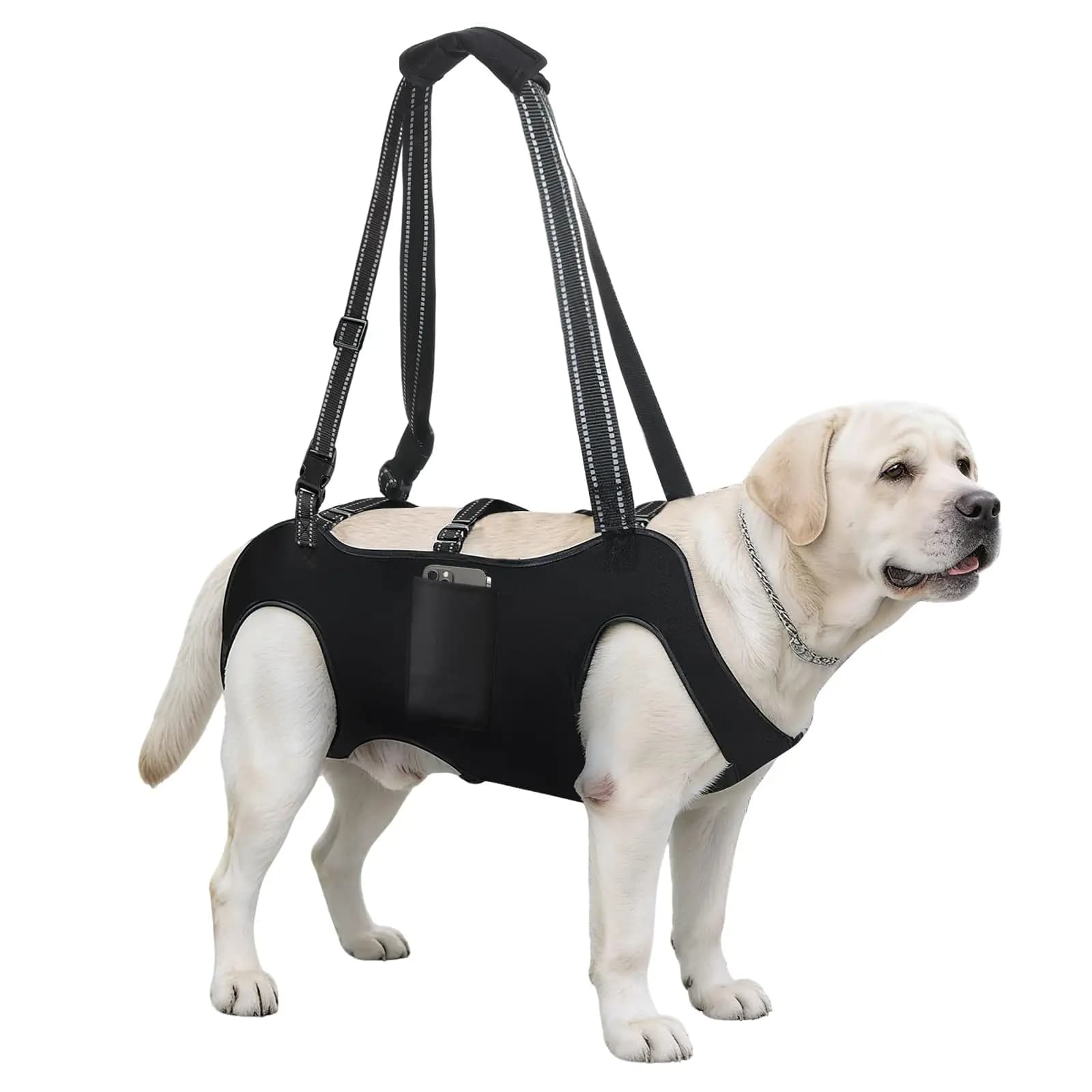 Waterproof Dog Lift Harness for All Size Dogs Full Body Support Sling with Handles for Senior, Injured & Recovering Dogs,