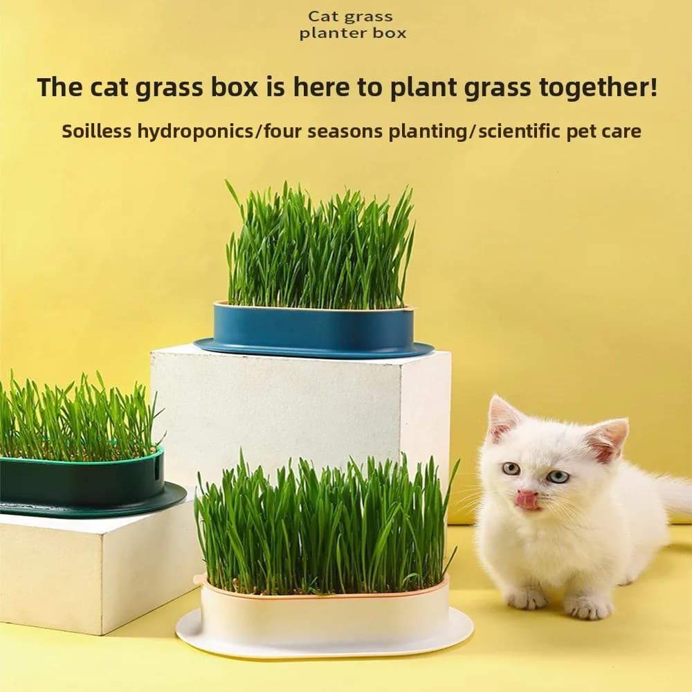 Pet Supplies Pet Snacks for Cats Hydroponic Box for Planting Cats Grass Pot for Cats Hydroponic Grass Box for Cats