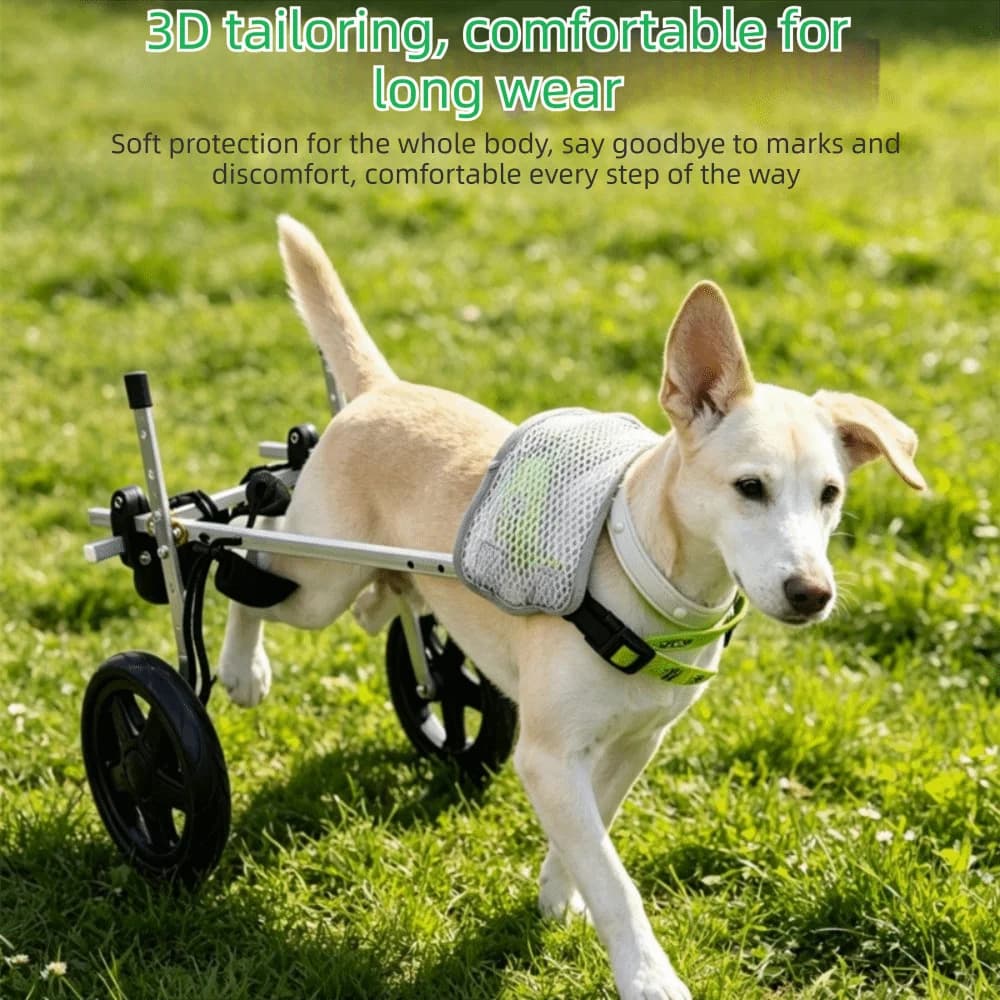 Adjustable Dog Wheelchair Comfort Harness Breathable Pet Rehabilitation Cart Rear Leg Support Durable Disabled Pet Walking Aid