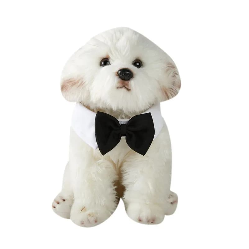 Papillon per cani gatto Collare con papillon Nero Rosso Collare da smoking per cani regolabile Pet Matrimonio Abito da smoking formale Abiti Costume di compleanno