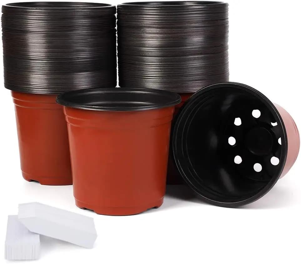 Pack of 100 Vases in Plastic 6 Inches with Labels, Containers for Plants and Flowers, Vases for Semina