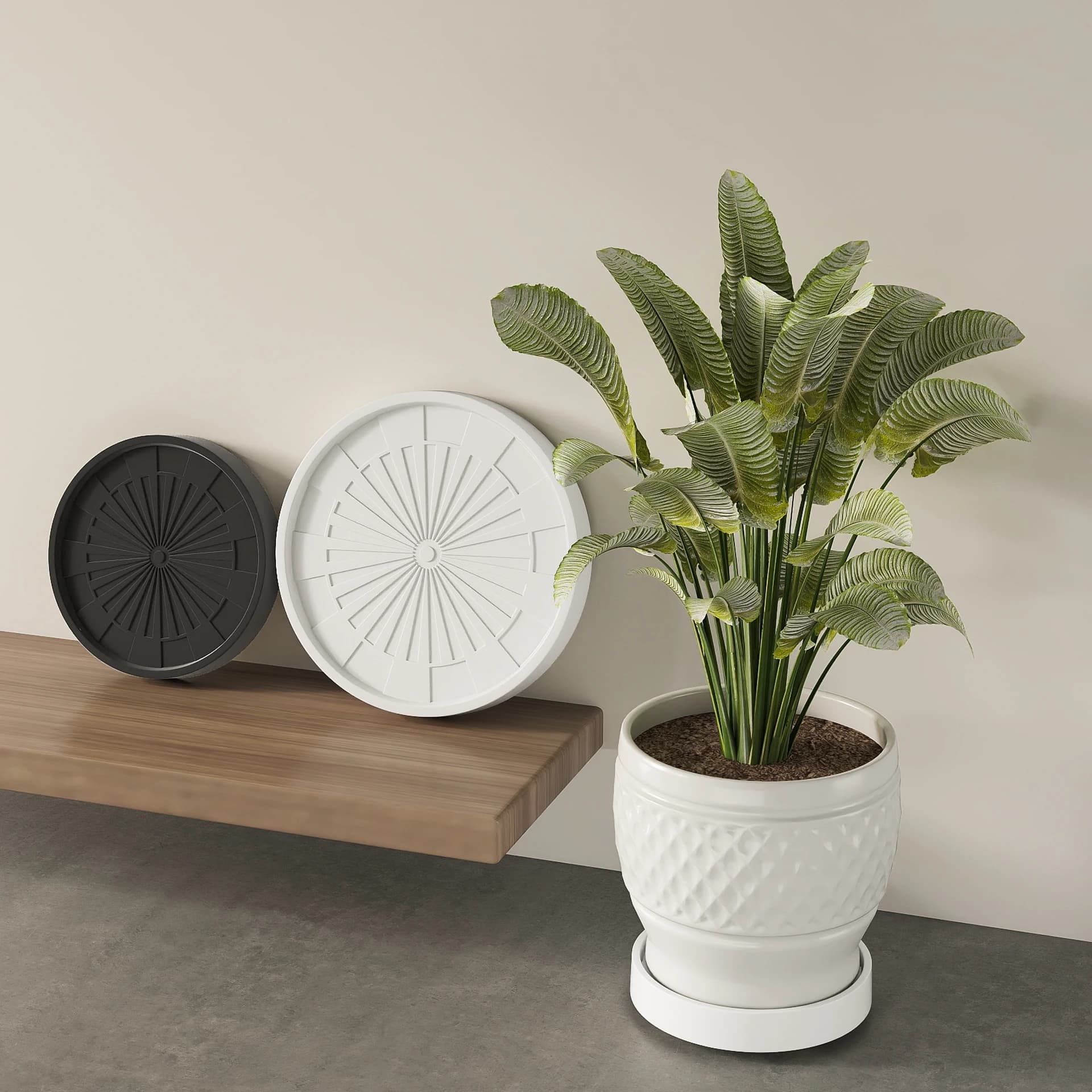 Base Universale per Vasi, Piattaforma Mobile Versatile per Fioriere, Umidificatori, Ventilatori e Piccoli Elettrodomestici