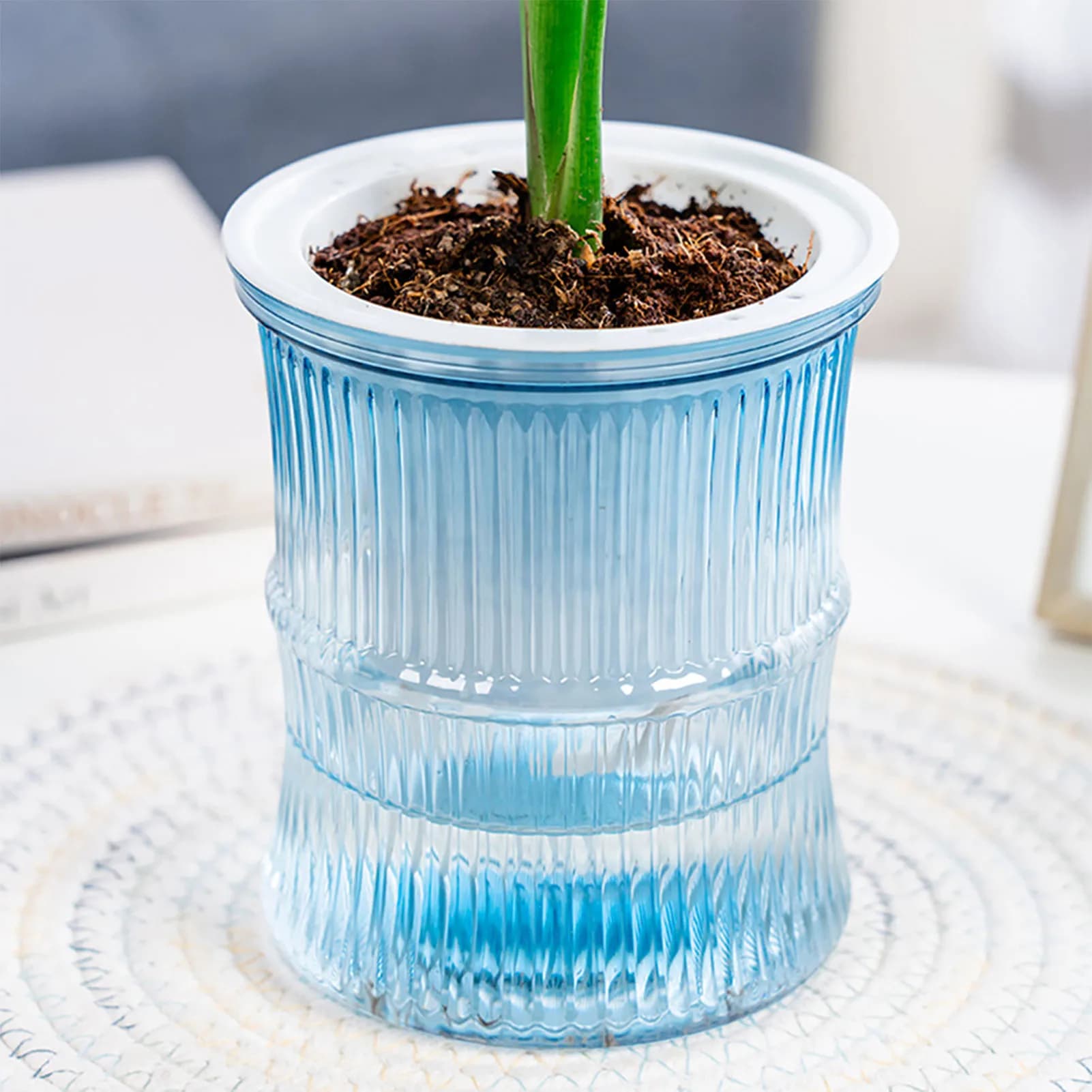 Modern Water-Absorbing Plants Pot Household Self Watering Flowerpot for Garden Enthusiast Lover Gift