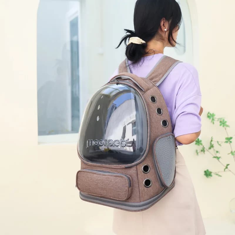 Zaino Trasparente Pieghevole per Animali Domestici, Borsa da Viaggio per Gatti, Borsa a Tracolla per Cani e Gatti, Borsa Portatile per Animali
