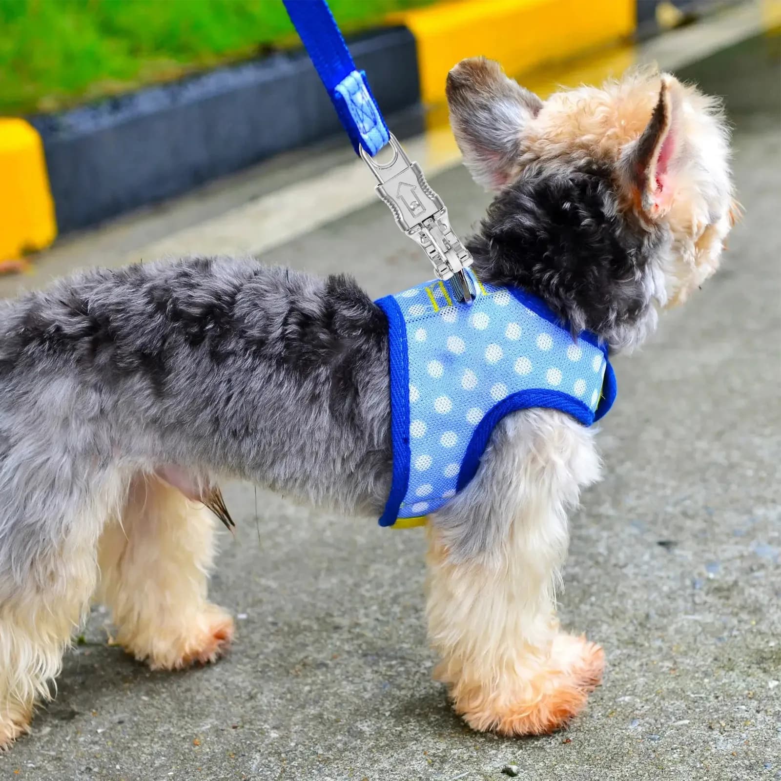 2 Pezzi Clip per Guinzaglio per Cani in Lega di Zinco, Moschettoni a Sgancio Rapido per Collare, Zaino, Attrezzatura per Trazione, Accessori da Viaggio per Animali Domestici