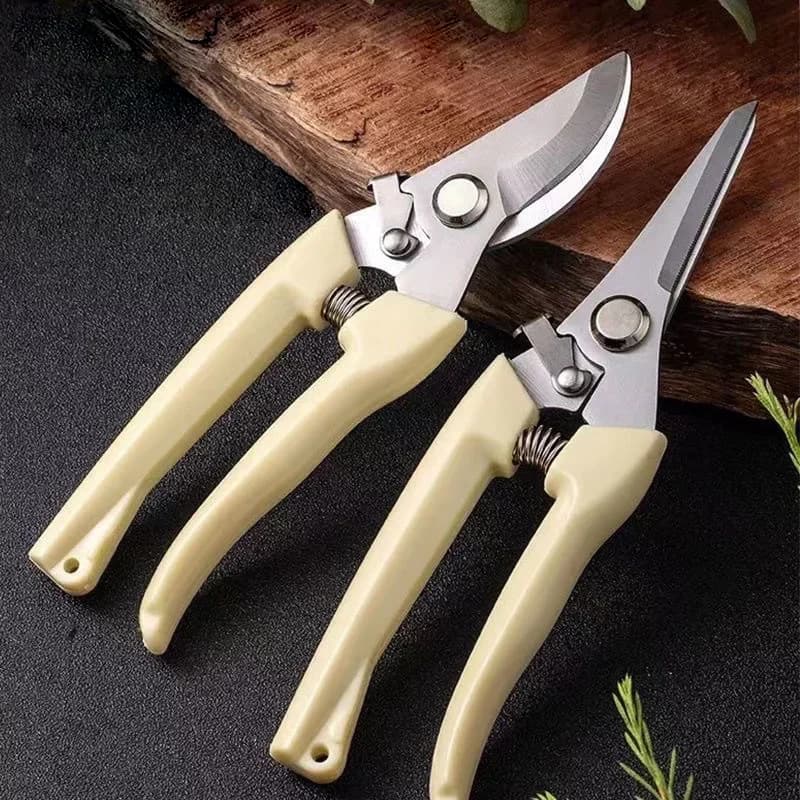 Forbici in Acciaio Inossidabile per Fiori, Potatura, Alberi da Frutto, Rami da Giardino, Giardinaggio e Innesto Domestico