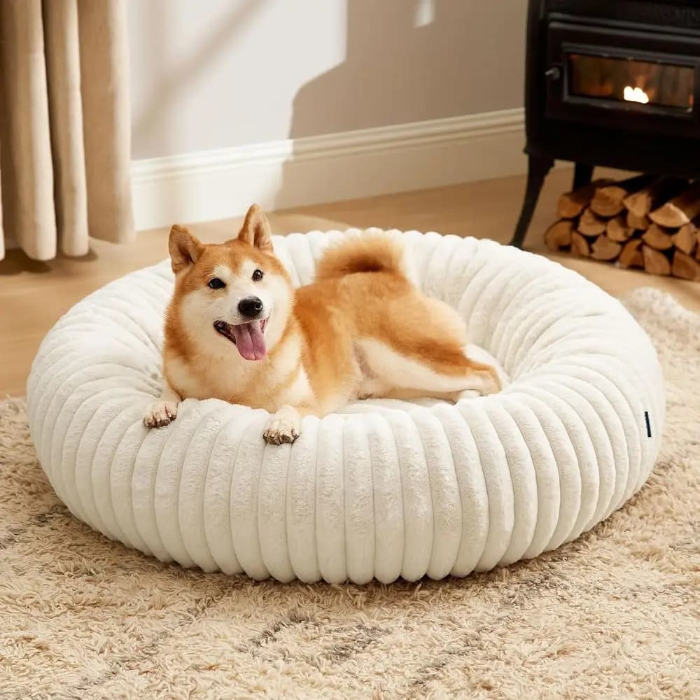 Cuccia per cani grande in velluto a coste lavabile con fondo antiscivolo e rivestimento rimovibile, colore crema, 36x36x8 pollici