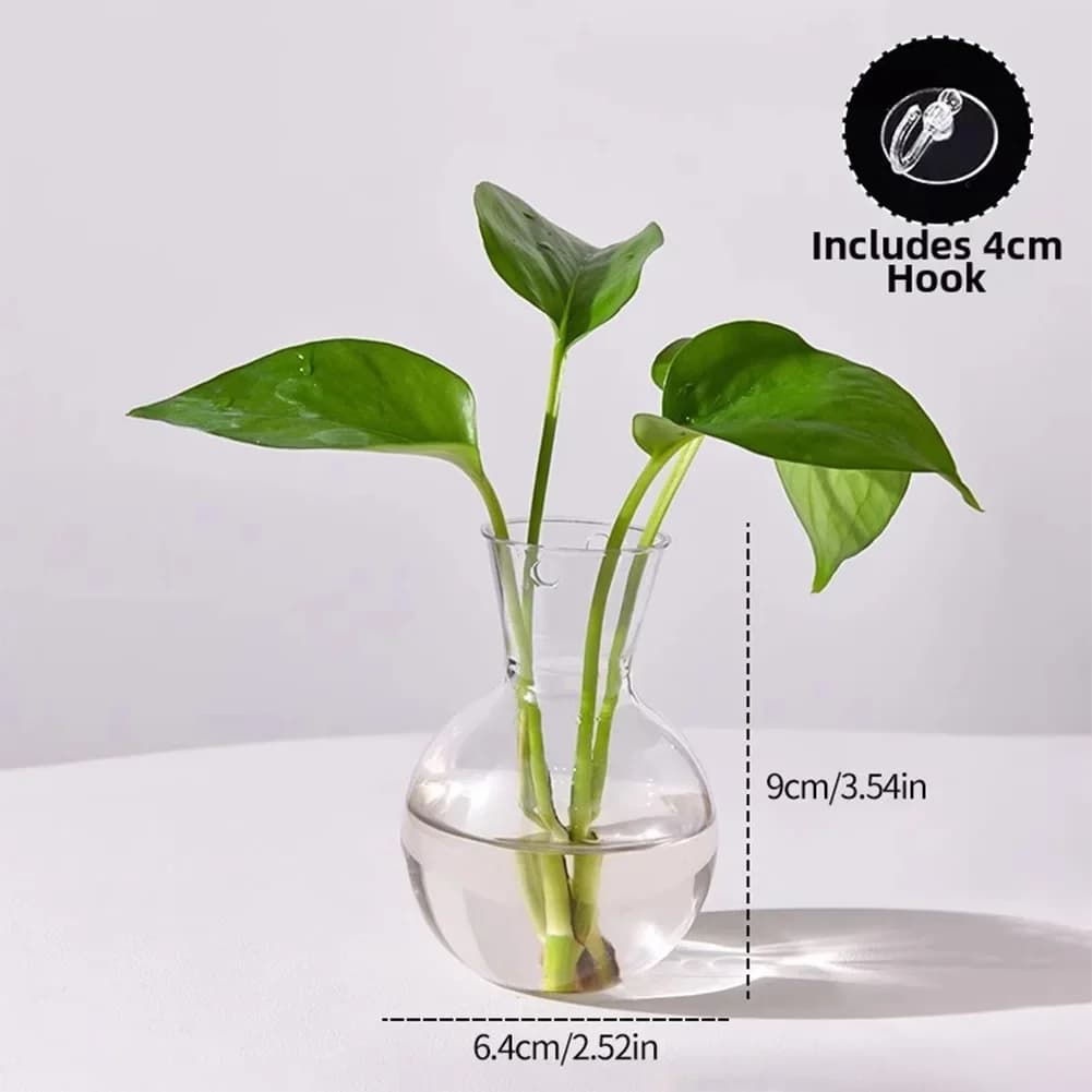Vaso Trasparente a Forma di Lampadina con Ventose e Ganci per Propagazione di Piante in Acqua su Superfici Verticali Lisce