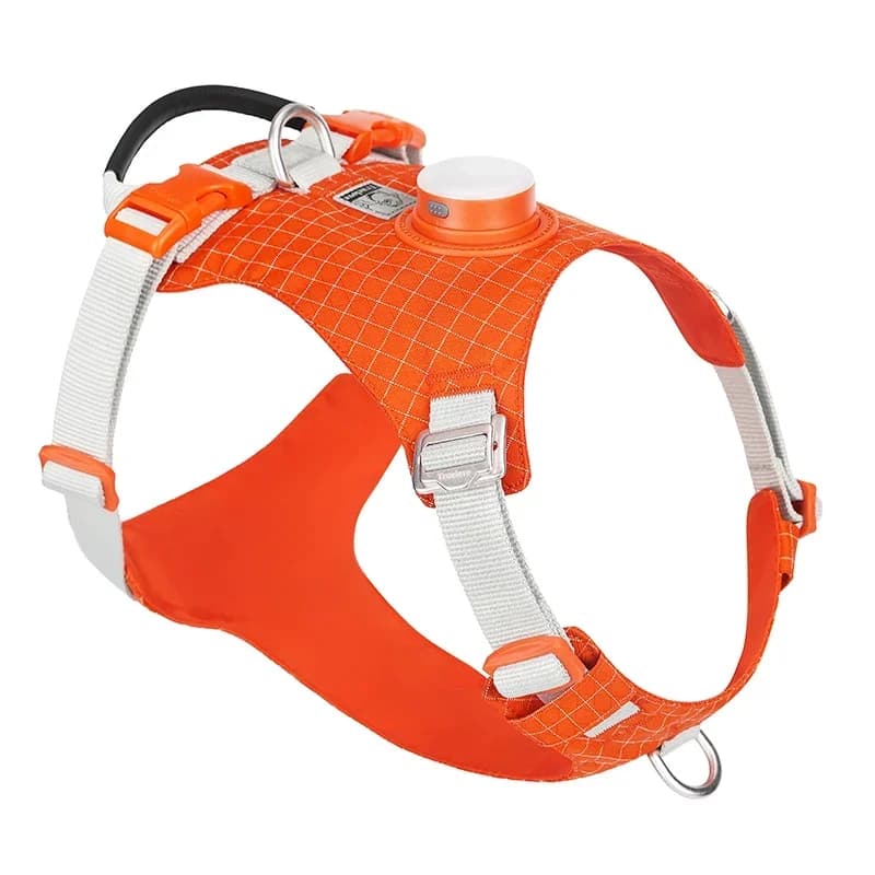 Truelove Pettorina per animali Materiale leggero LED autoportante 550D tessuto oxford in poliestere manico in microfibra TLH6771