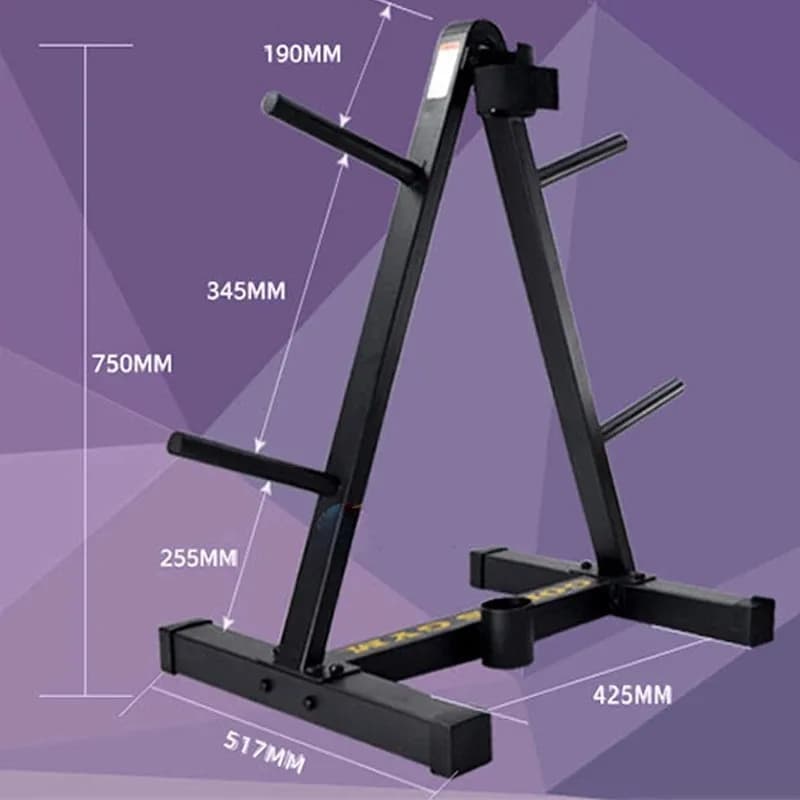 Gym Fitness 25/50mm Aperture Barbell Discs Rack Dumbbell Plates Support Pole Holder Weight Training Equipments Storage Bracket