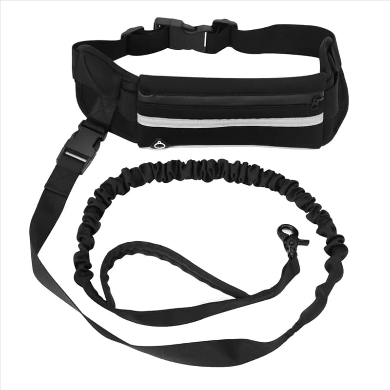 Dog Leash With Waist Retractable Elastic Belt Reflective Traction Rope For Running Walking Pet Products