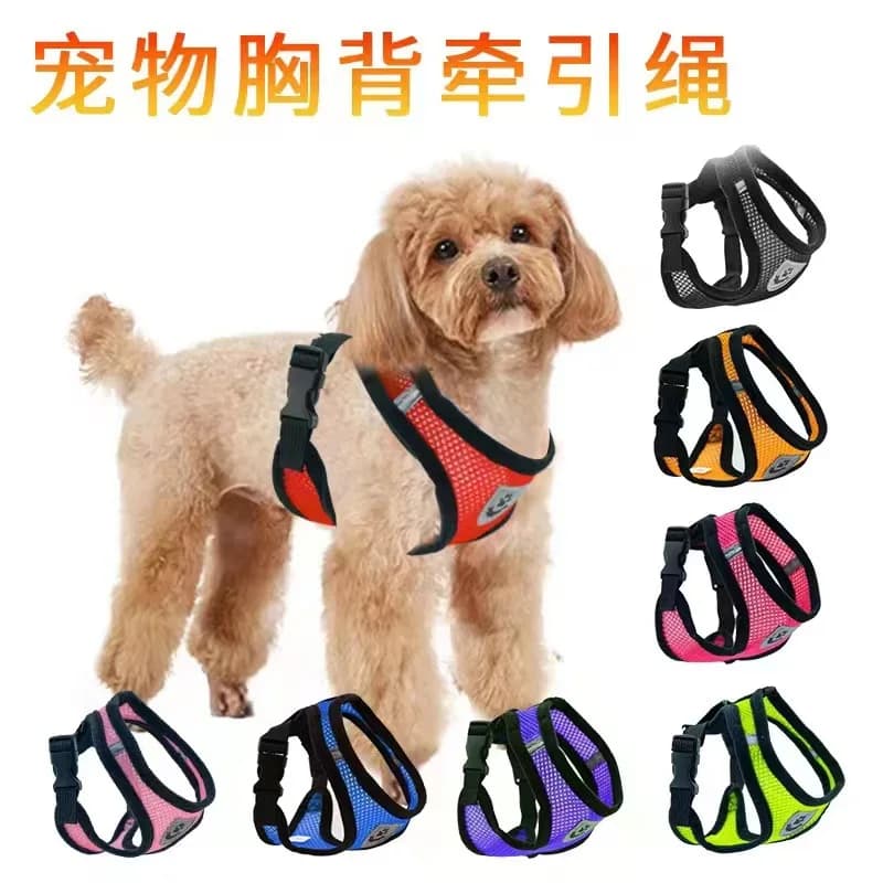Guinzaglio per cani con artefatto da passeggio per cani in stile gilet da esterno con corda per cuccioli di cane di grandi dimensioni