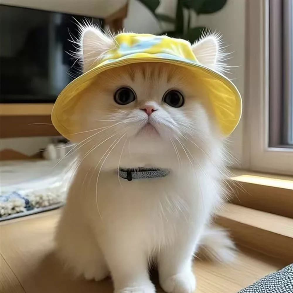 Summer Breathable Pet Sun Hat with Ear Holes Cute Cat Fisherman Cap UV Protection Outdoor Sunshade Accessory 2026