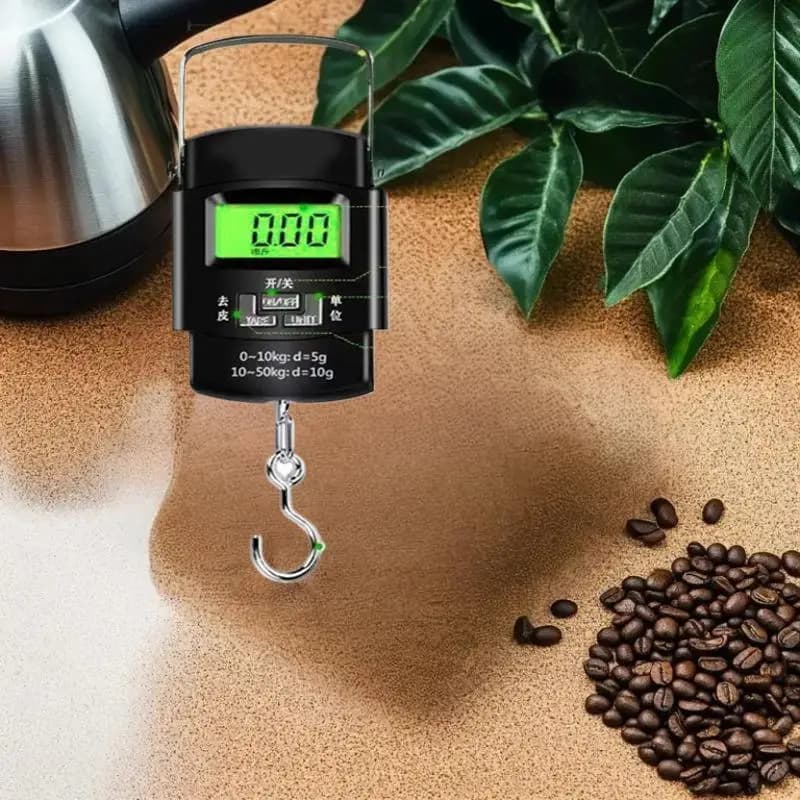 Mini bilancia da pesca elettronica multifunzionale 50 kg / 10 g Bilancia portatile digitale portatile con gancio per bagagli con righello