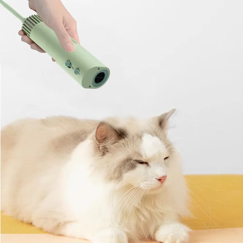 Accessories Para Mascota High Power Quiet Pet Hair Dryer Dog Hair Dryer Hair Dryer for Dogs Water Blower