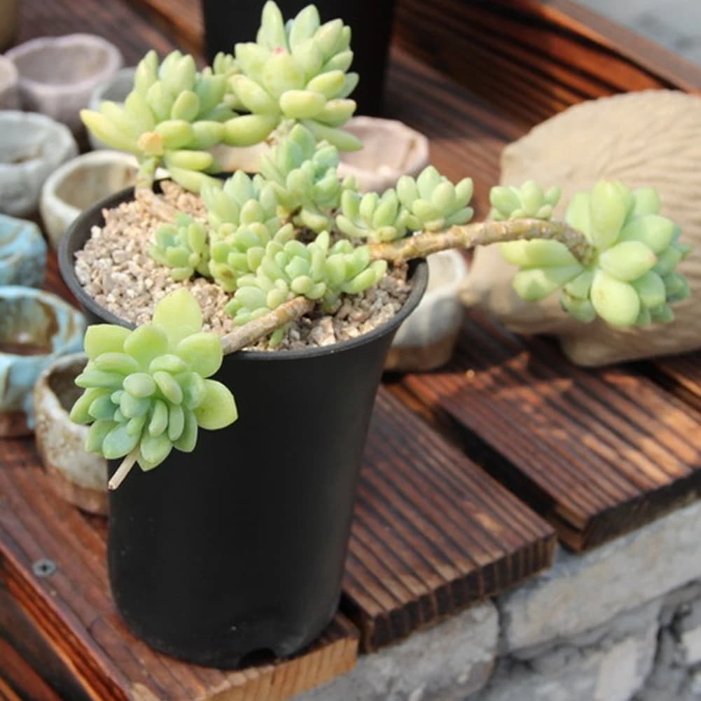 AT84-10Pcs High-life and deep black round vases are perfect for indoor and outdoor plants, seeds, vegetables