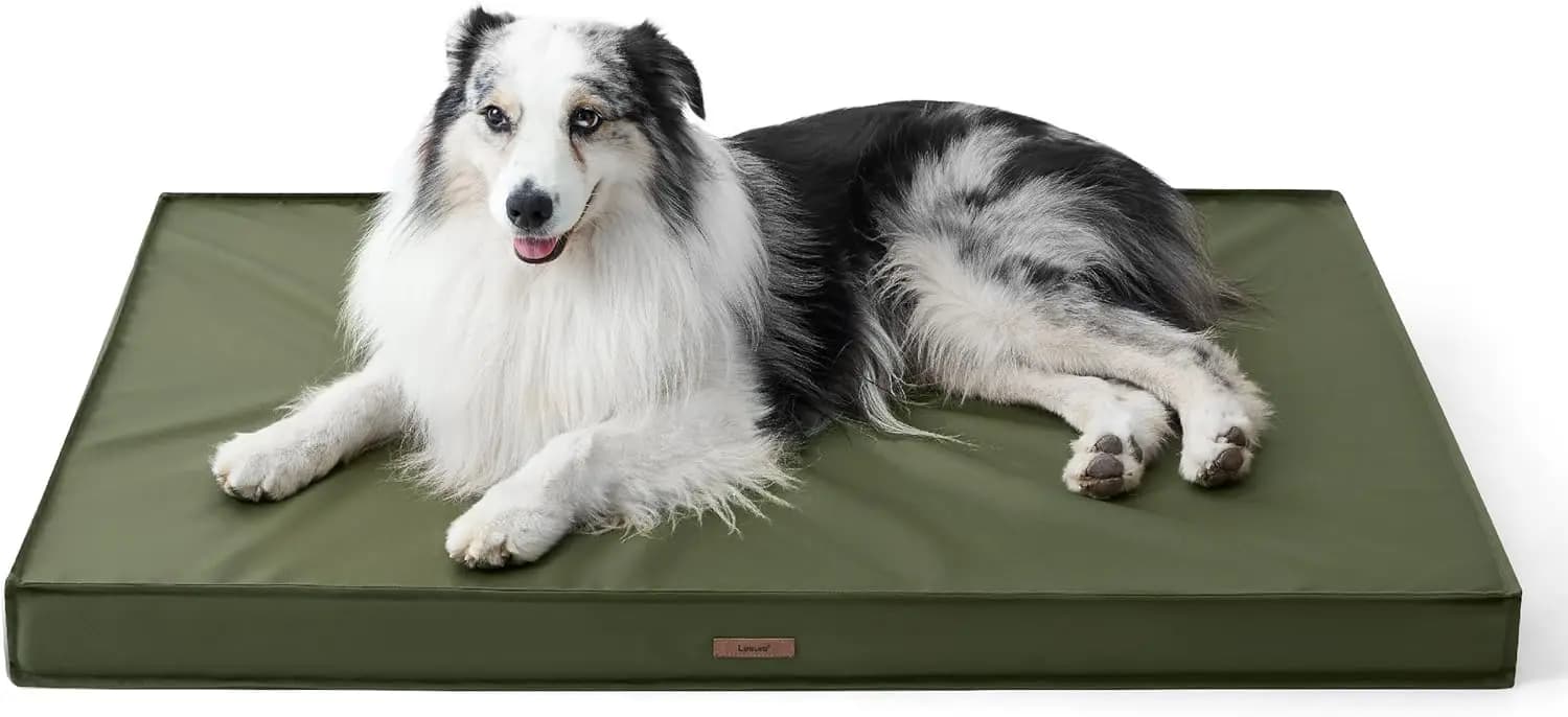 Outdoor waterproof dog skin, large honeycomb orthopedic mat with removable and washable coating, 36'''x27''
