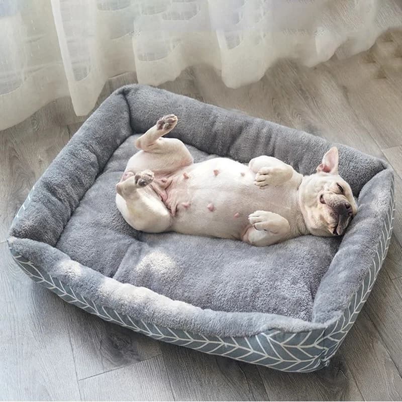 Lettino per cani da compagnia Tappetini per divani Prodotti per animali Coussin Chien Animali Accessori Cestino per cani Forniture per letto per gatti di grandi dimensioni, medie e piccole