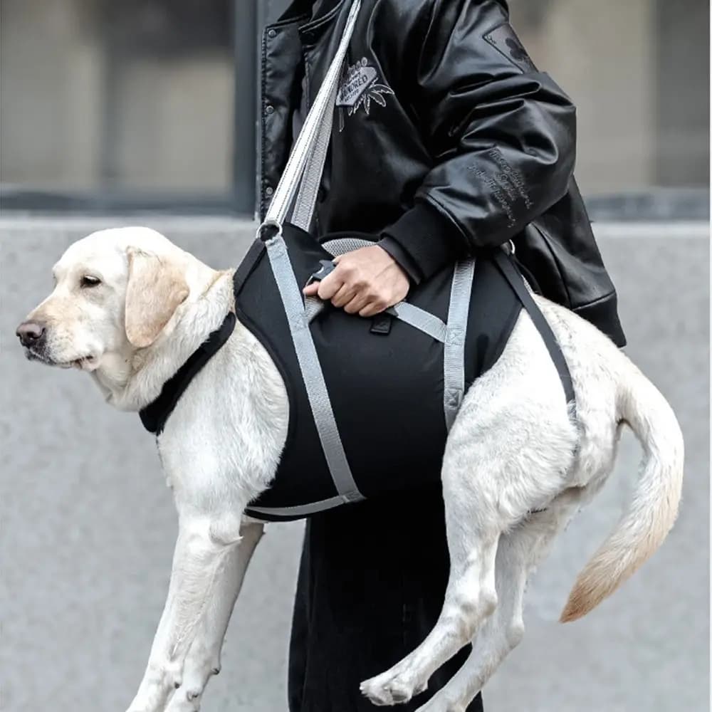 Adjustable Large Dog Lift Harness Breathable Reflective Pet Walking Aid Straps Portable Wear-resistant Dog Sling Carrier