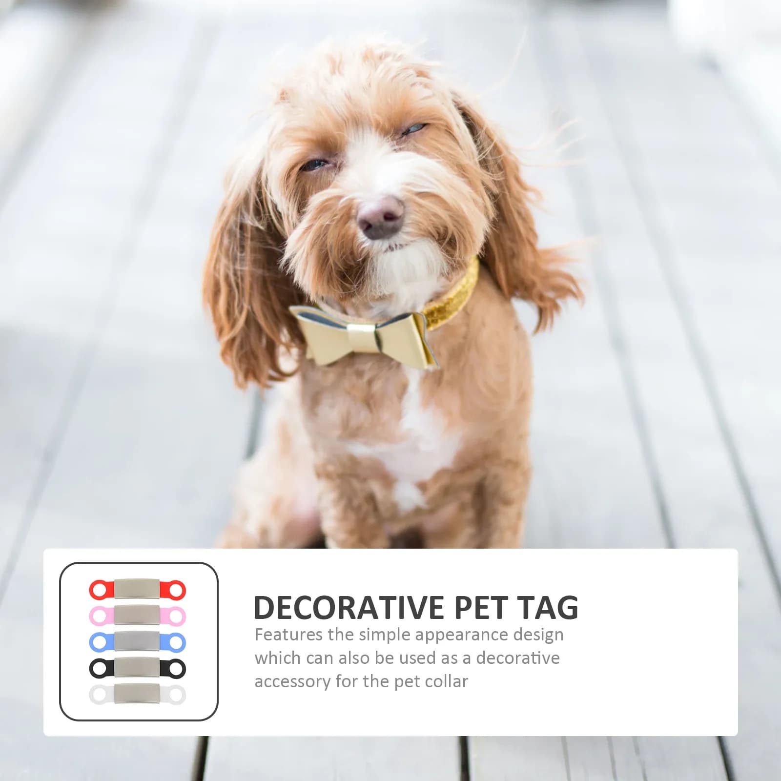 5 Pezzi Targhette Identificative Premium in Acciaio Inossidabile con Bordo in Silicone per Collare Cane, Targhetta ID Anti-Smarrimento per Animali Domestici con Incisione Nome e Numero di Telefono