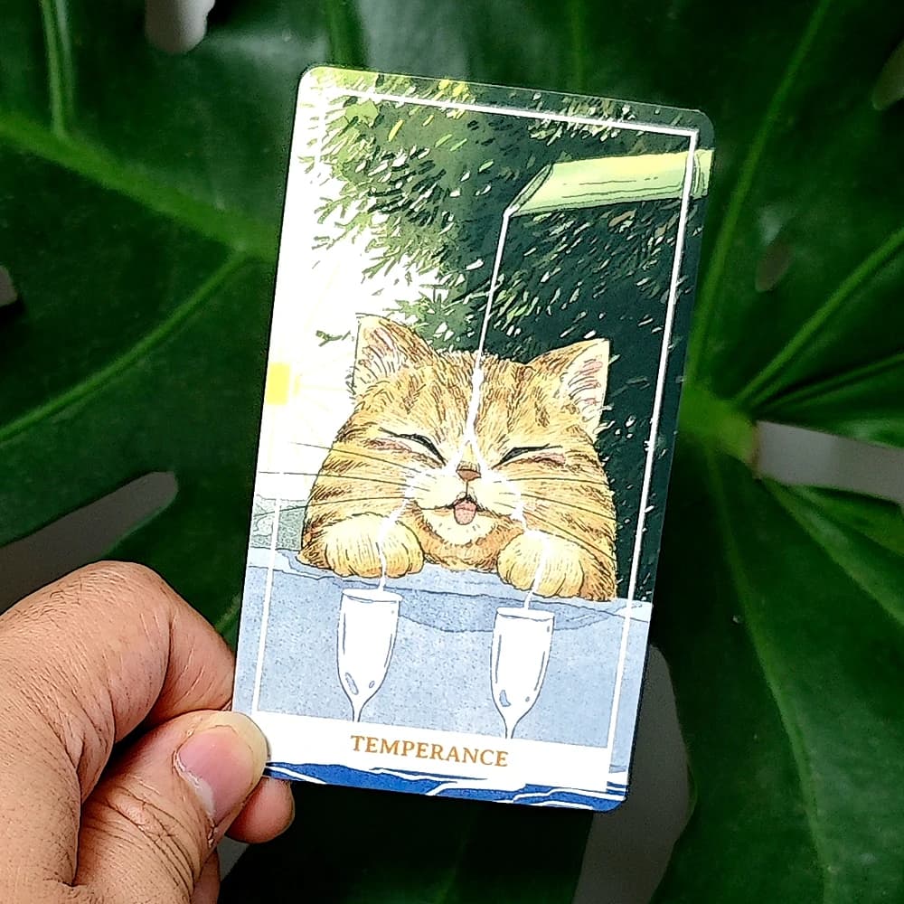 Tarocchi di gatto arancione soleggiato - Mazzo di tarocchi di gattino stravagante da 10,3 * 6 cm per principianti 78 carte dei tarocchi