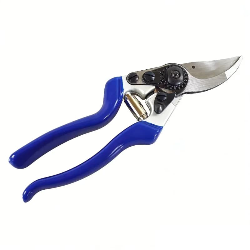 Forbici Professionali da Giardinaggio, Cesoie Affilate per Potatura, Attrezzi per Taglio di Rami e Arbusti, Utensili per la Cura delle Piante in Frutteto