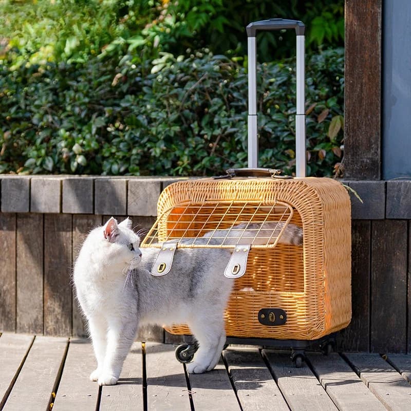 Trasportino e Valigia Portatile in Rattan per Gatti, Passeggino Estivo Traspirante per Animali Domestici, Box da Viaggio 2-in-1 per Gatti per Esterni